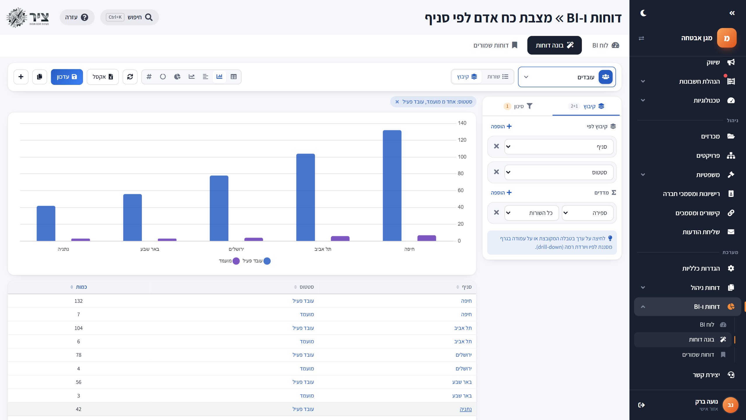 בונה הדוחות — מצבת כח אדם לפי סניף